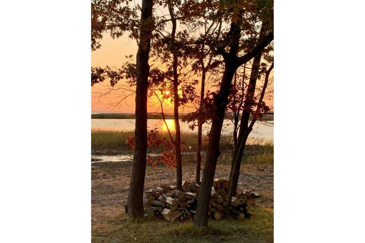 Lakeview & Wildlife Au Gres Bagian luar foto