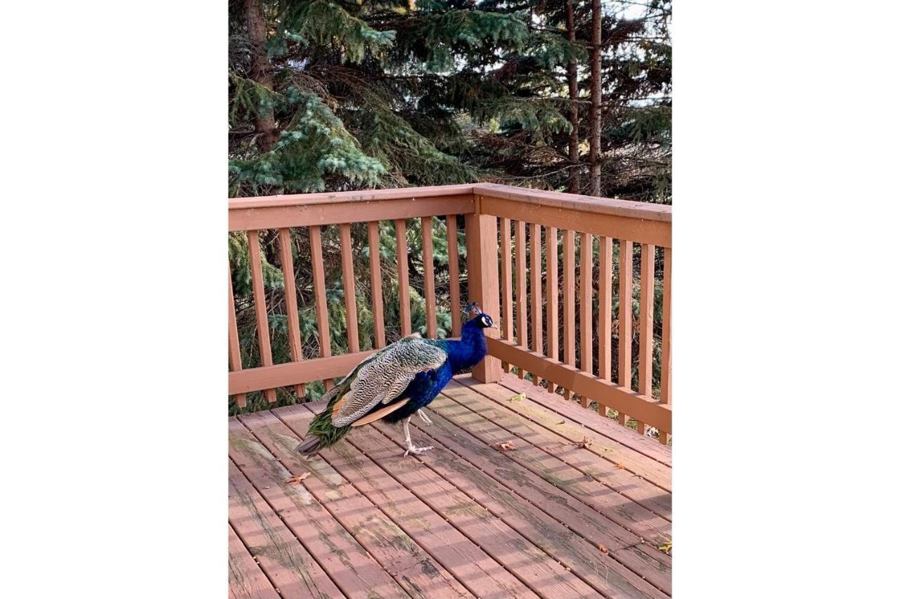 Lakeview & Wildlife Au Gres Bagian luar foto