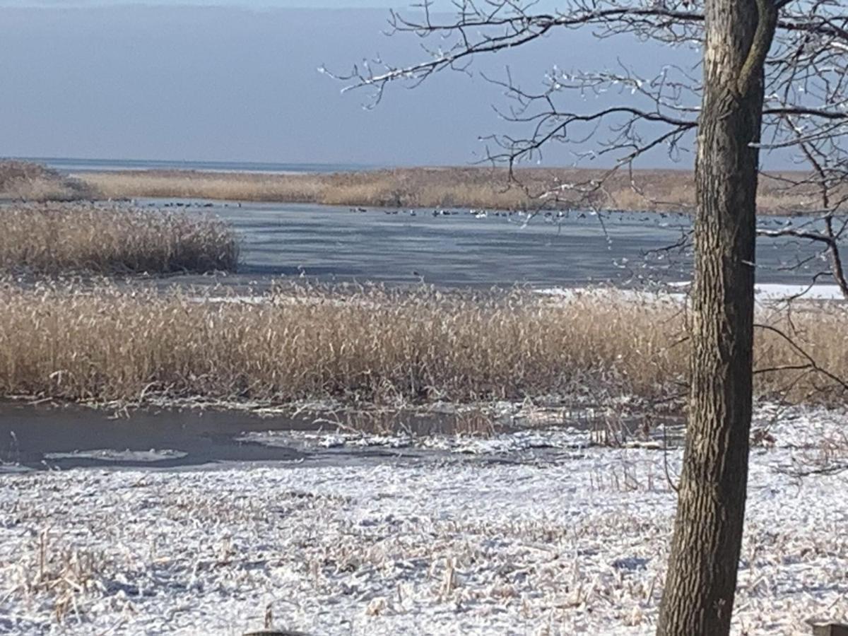Lakeview & Wildlife Au Gres Bagian luar foto
