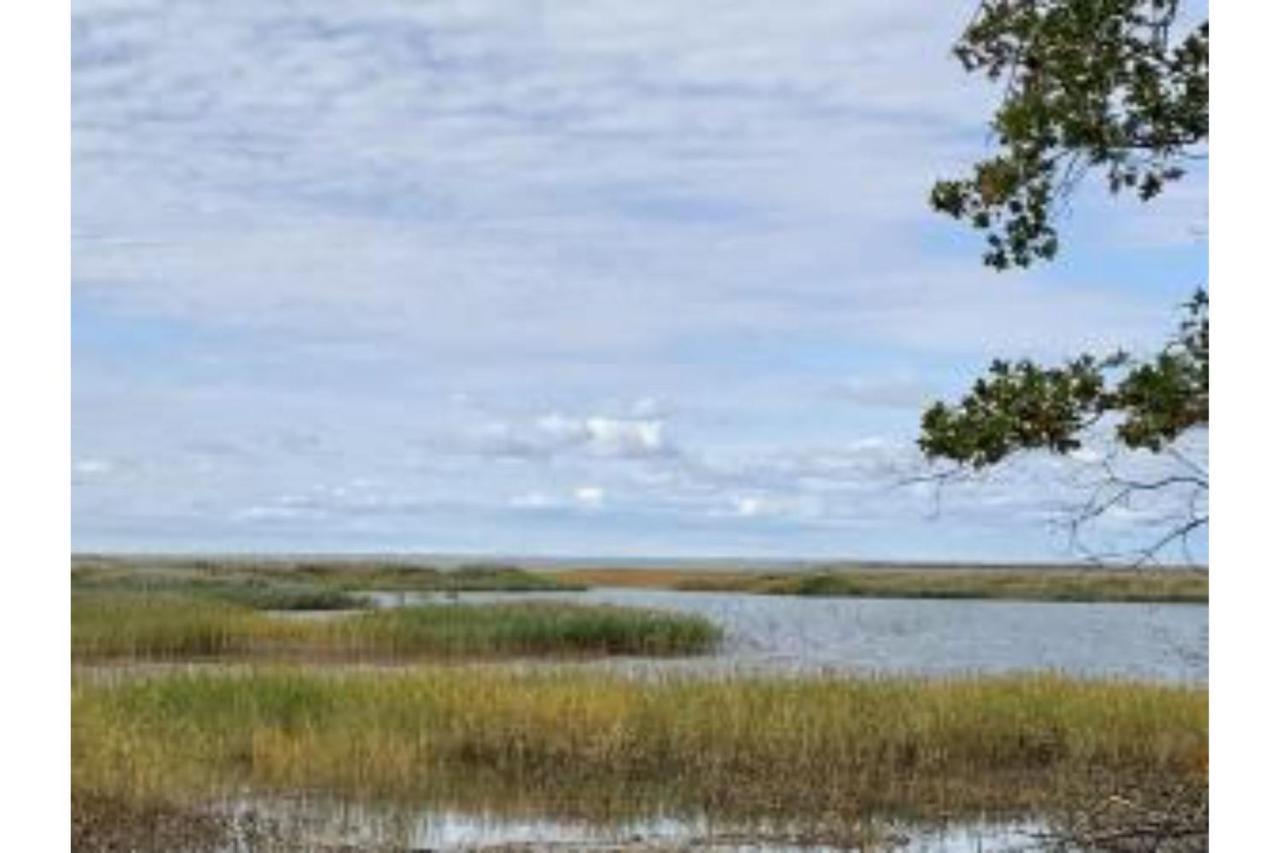 Lakeview & Wildlife Au Gres Bagian luar foto