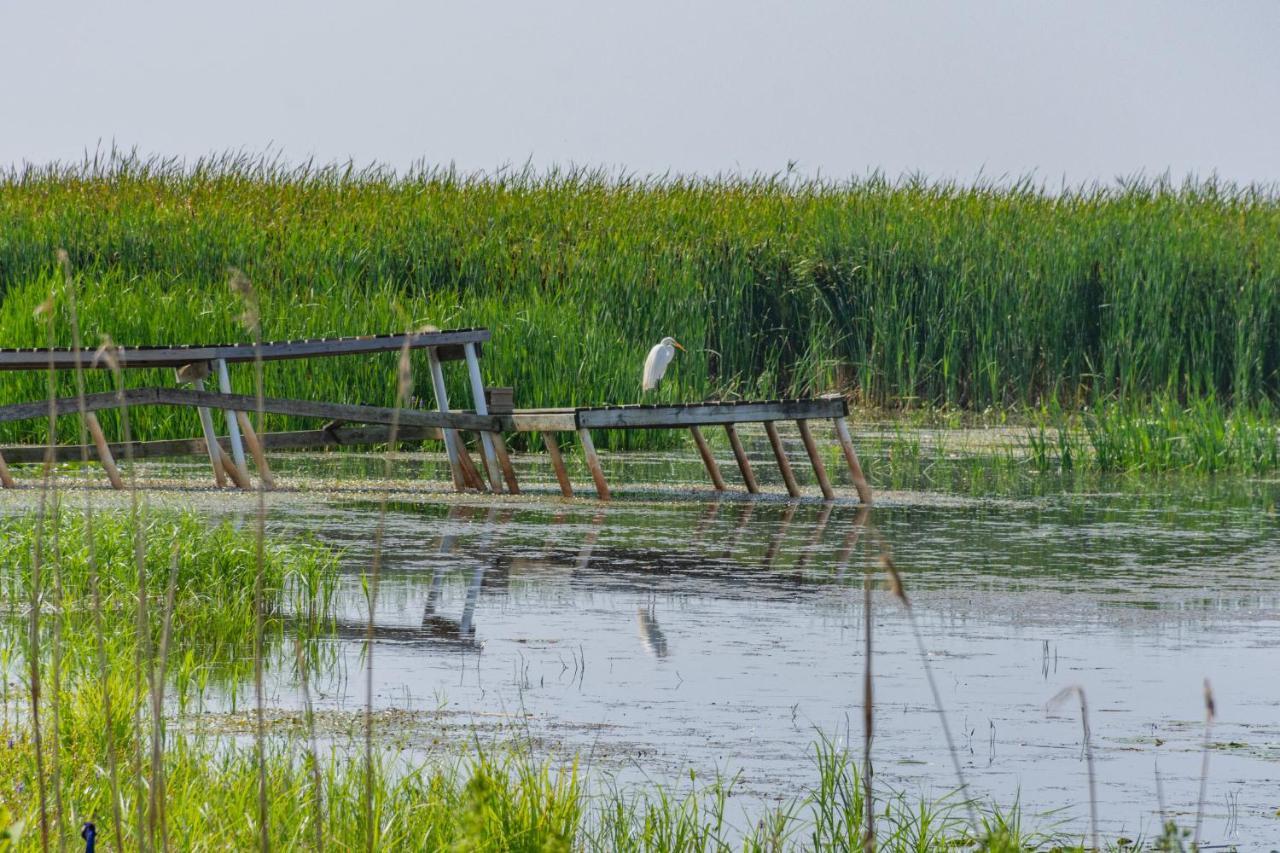 Lakeview & Wildlife Au Gres Bagian luar foto